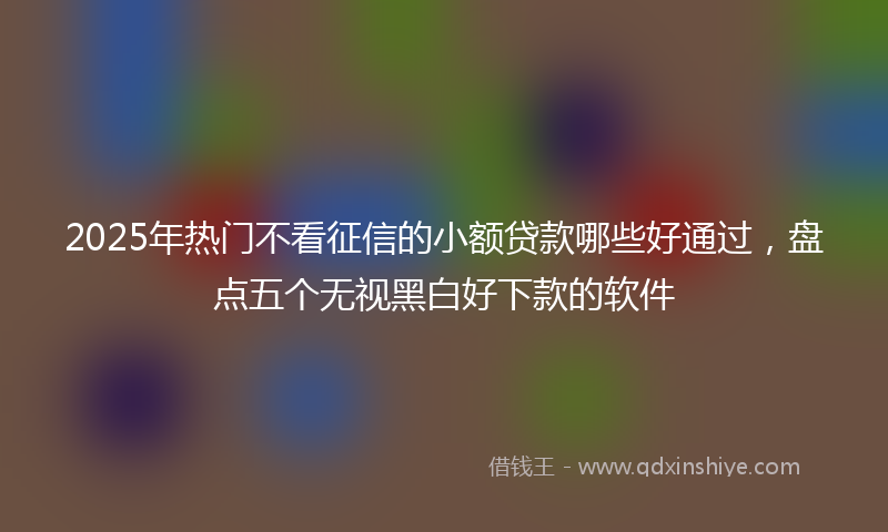 2025年热门不看征信的小额贷款哪些好通过，盘点五个无视黑白好下款的软件