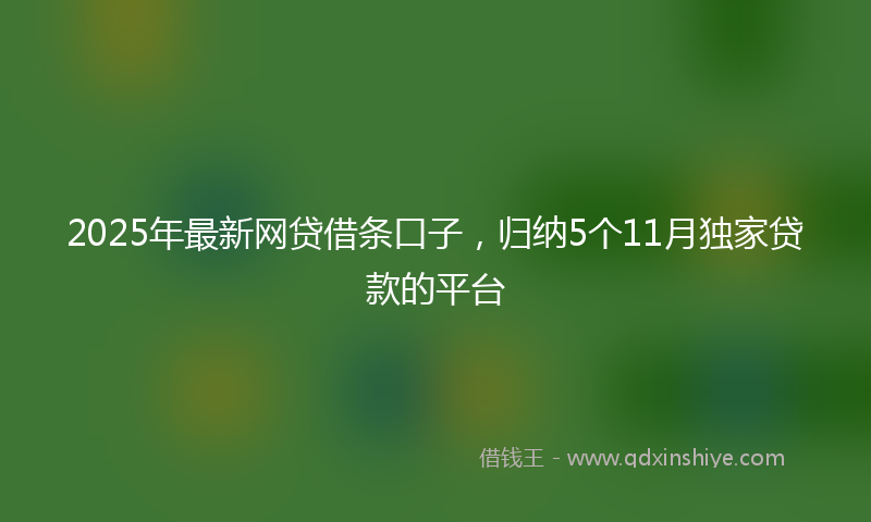 2025年最新网贷借条口子，归纳5个11月独家贷款的平台