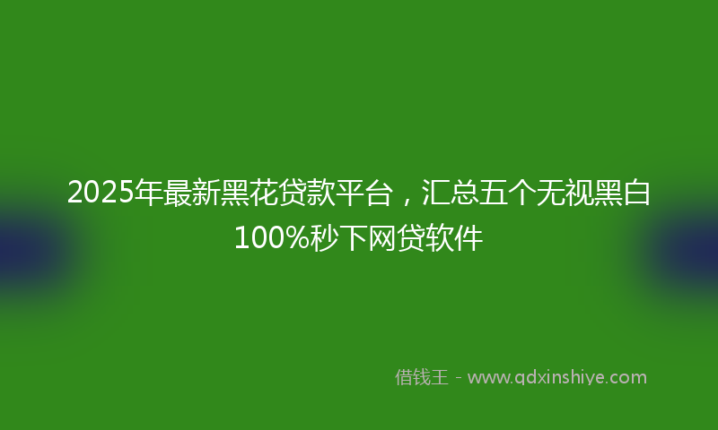 2025年最新黑花贷款平台，汇总五个无视黑白100%秒下网贷软件