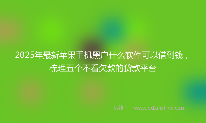 2025年最新苹果手机黑户什么软件可以借到钱，梳理五个不看欠款的贷款平台
