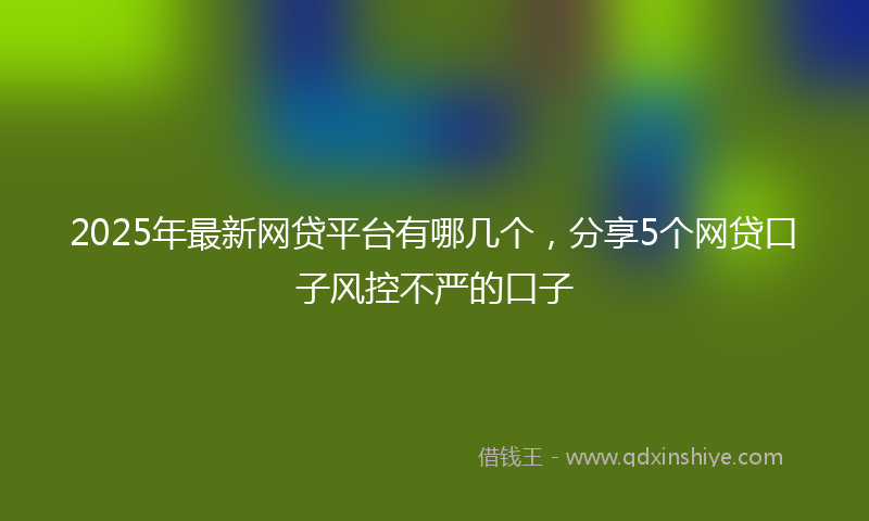 2025年最新网贷平台有哪几个，分享5个网贷口子风控不严的口子
