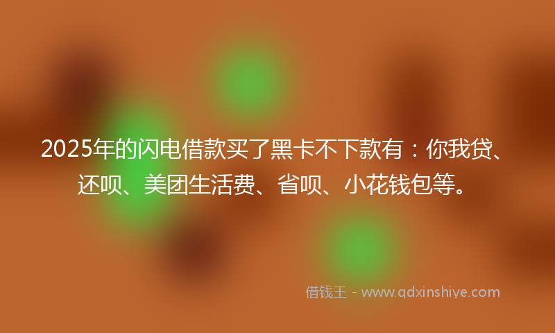 2025年的闪电借款买了黑卡不下款有：你我贷、还呗、美团生活费、省呗、小花钱包等。