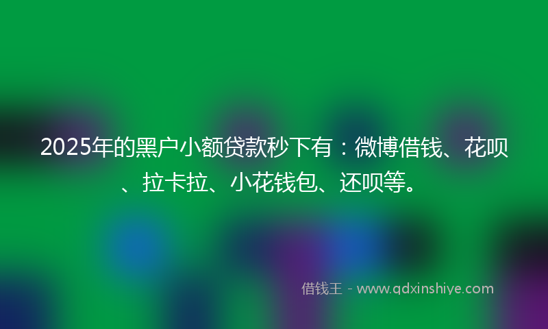 2025年的黑户小额贷款秒下有：微博借钱、花呗、拉卡拉、小花钱包、还呗等。