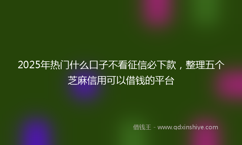 2025年热门什么口子不看征信必下款，整理五个芝麻信用可以借钱的平台