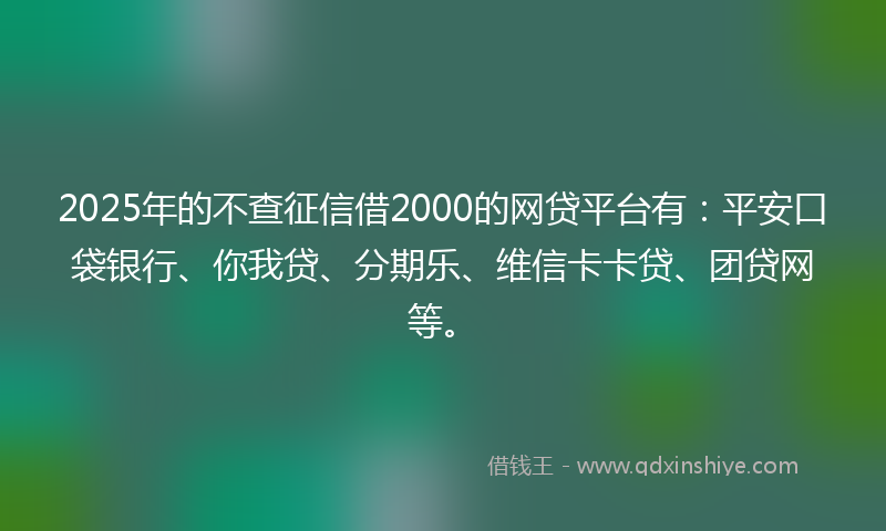 2025年的不查征信借2000的网贷平台有：平安口袋银行、你我贷、分期乐、维信卡卡贷、团贷网等。