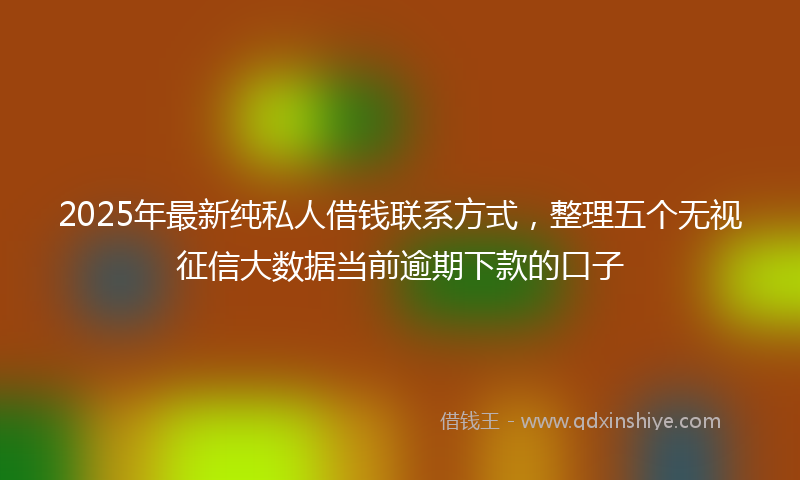 2025年最新纯私人借钱联系方式，整理五个无视征信大数据当前逾期下款的口子