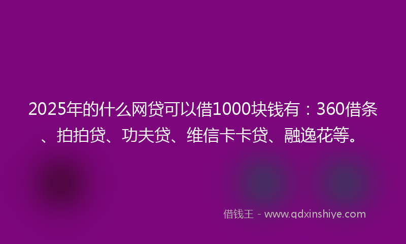 2025年的什么网贷可以借1000块钱有：360借条、拍拍贷、功夫贷、维信卡卡贷、融逸花等。