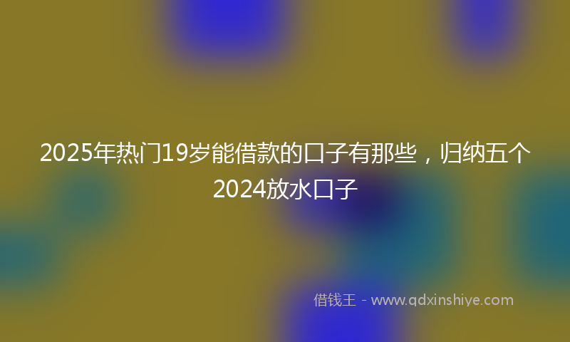 2025年热门19岁能借款的口子有那些，归纳五个2024放水口子