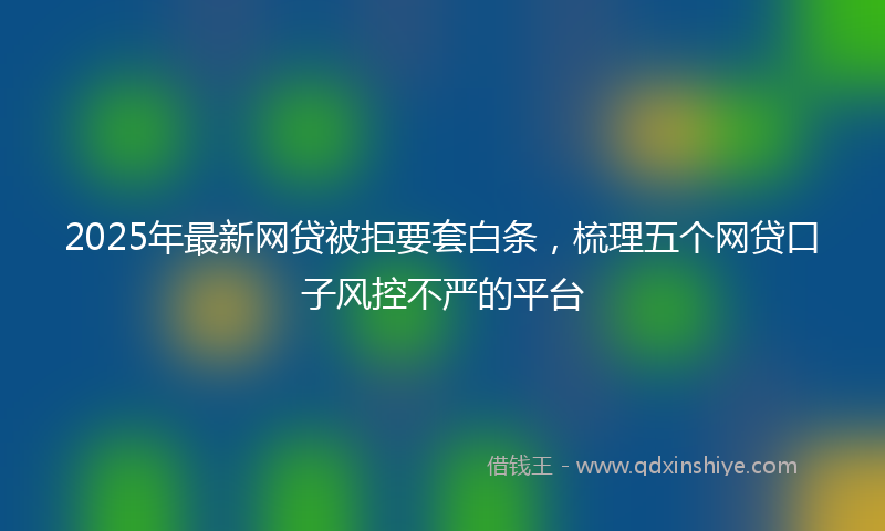 2025年最新网贷被拒要套白条，梳理五个网贷口子风控不严的平台