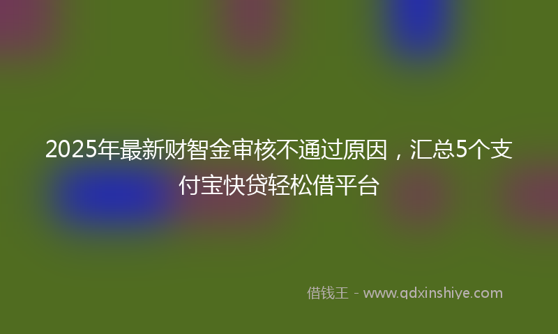 2025年最新财智金审核不通过原因，汇总5个支付宝快贷轻松借平台