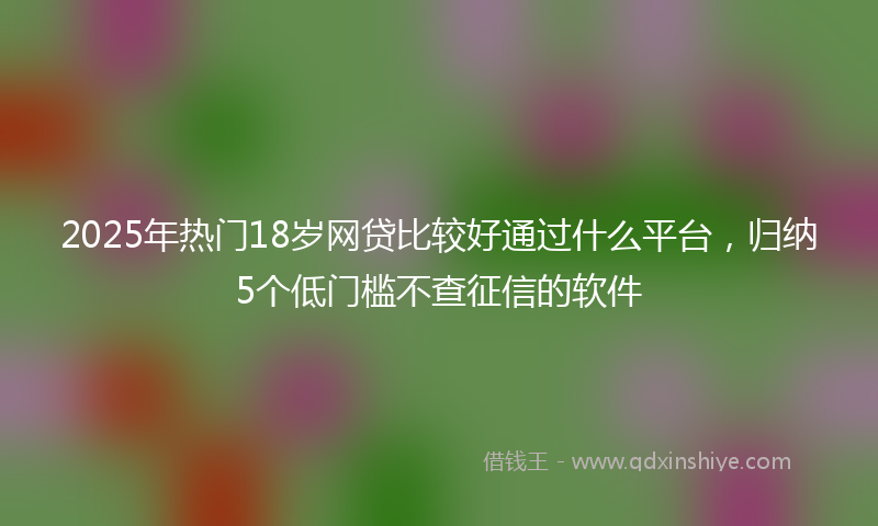 2025年热门18岁网贷比较好通过什么平台，归纳5个低门槛不查征信的软件