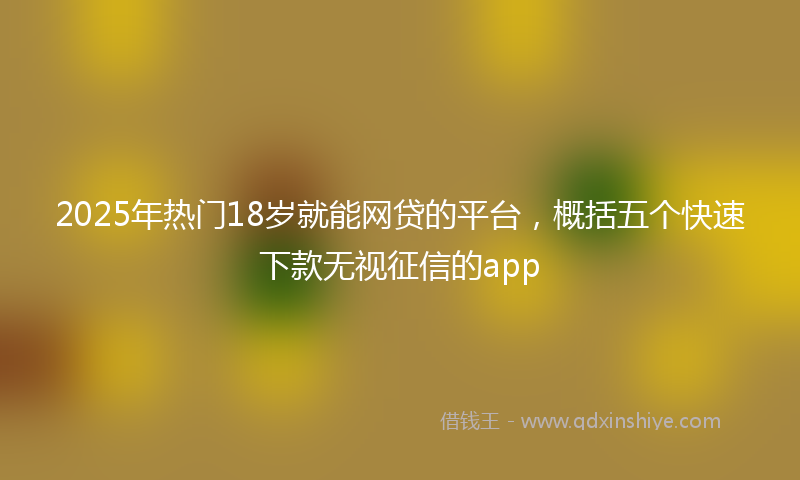 2025年热门18岁就能网贷的平台，概括五个快速下款无视征信的app