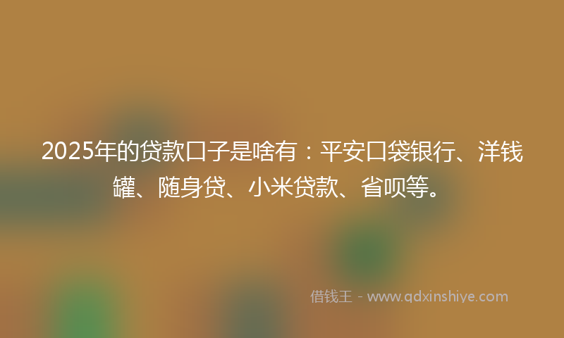 2025年的贷款口子是啥有：平安口袋银行、洋钱罐、随身贷、小米贷款、省呗等。