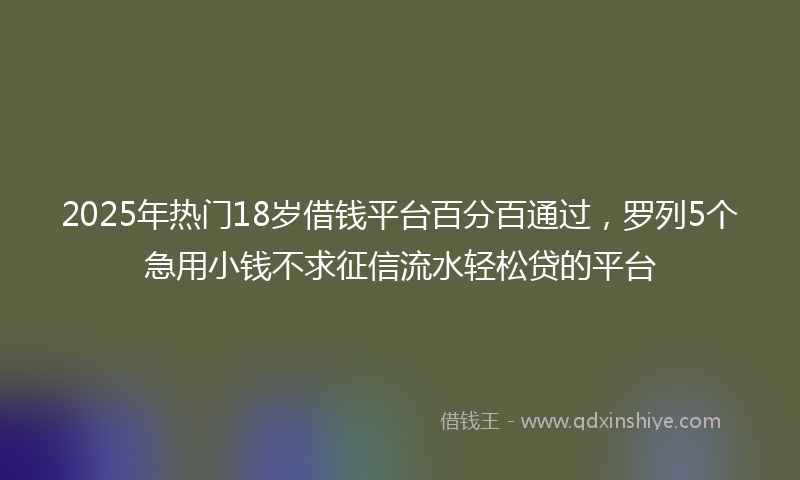 2025年热门18岁借钱平台百分百通过，罗列5个急用小钱不求征信流水轻松贷的平台