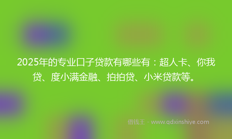 2025年的专业口子贷款有哪些有：超人卡、你我贷、度小满金融、拍拍贷、小米贷款等。