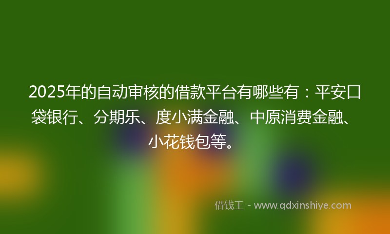 2025年的自动审核的借款平台有哪些有：平安口袋银行、分期乐、度小满金融、中原消费金融、小花钱包等。