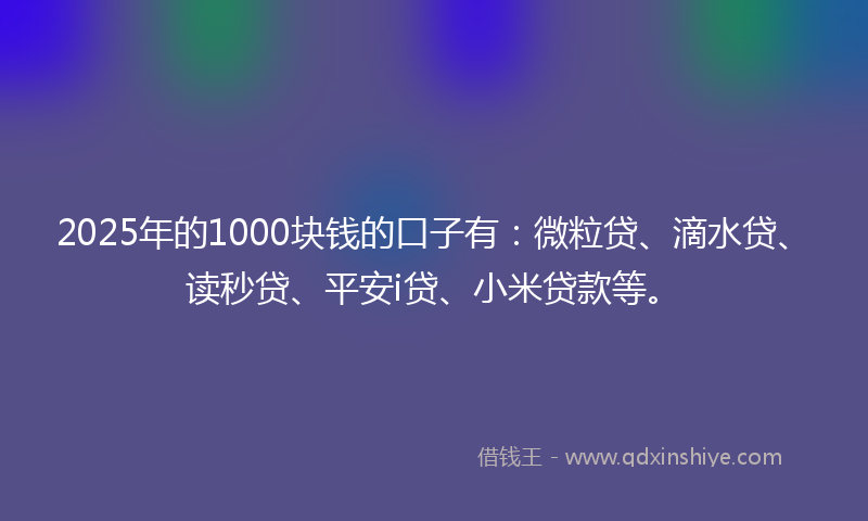 2025年的1000块钱的口子有：微粒贷、滴水贷、读秒贷、平安i贷、小米贷款等。