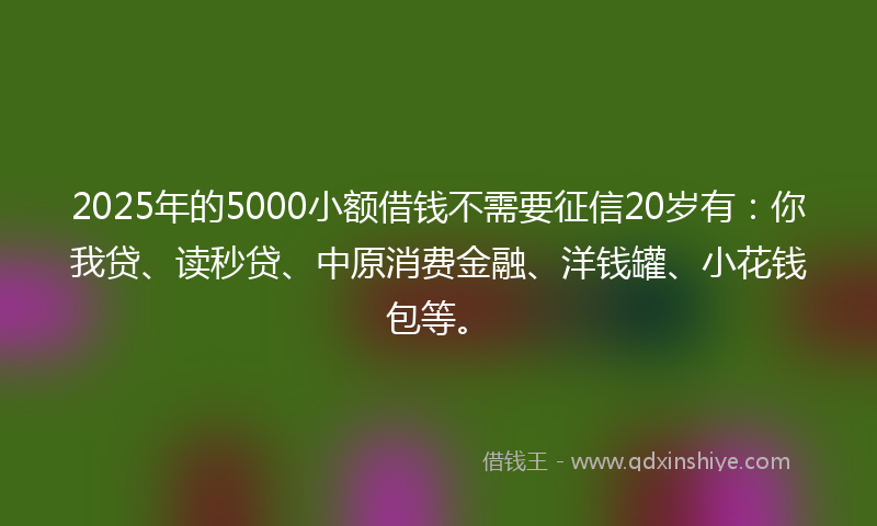 2025年的5000小额借钱不需要征信20岁有：你我贷、读秒贷、中原消费金融、洋钱罐、小花钱包等。