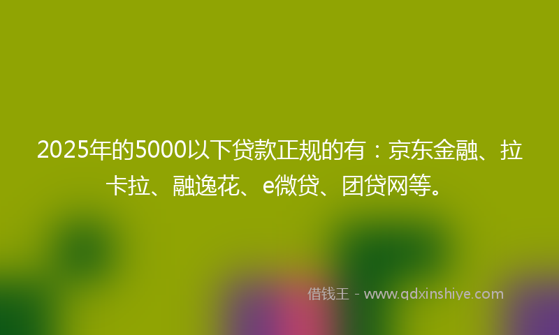 2025年的5000以下贷款正规的有：京东金融、拉卡拉、融逸花、e微贷、团贷网等。