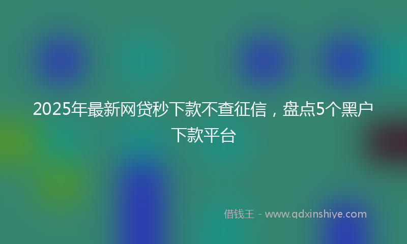 2025年最新网贷秒下款不查征信，盘点5个黑户下款平台