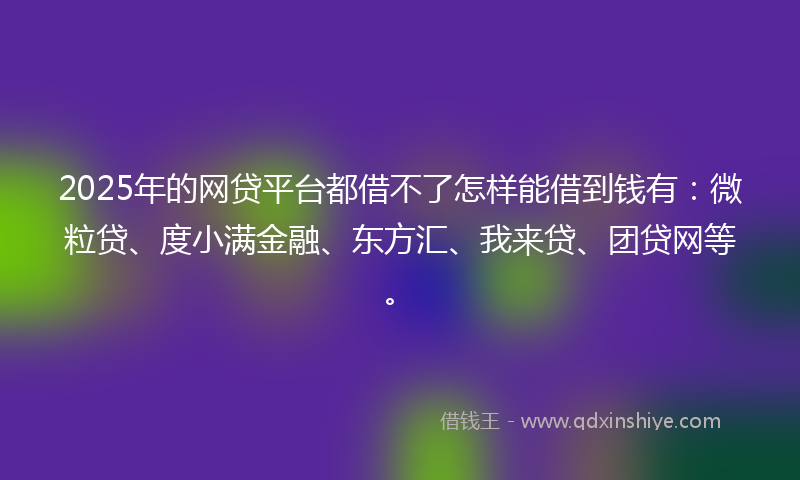 2025年的网贷平台都借不了怎样能借到钱有：微粒贷、度小满金融、东方汇、我来贷、团贷网等。