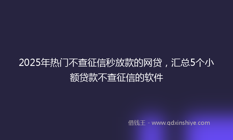 2025年热门不查征信秒放款的网贷，汇总5个小额贷款不查征信的软件