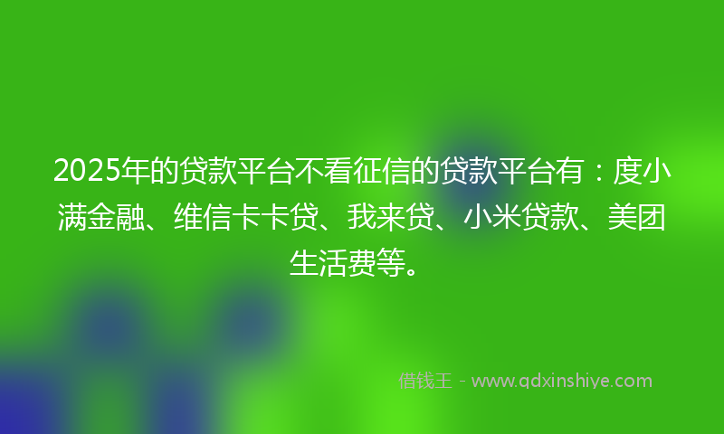 2025年的贷款平台不看征信的贷款平台有：度小满金融、维信卡卡贷、我来贷、小米贷款、美团生活费等。