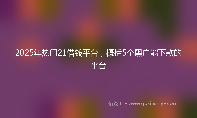 2025年热门21借钱平台，概括5个黑户能下款的平台