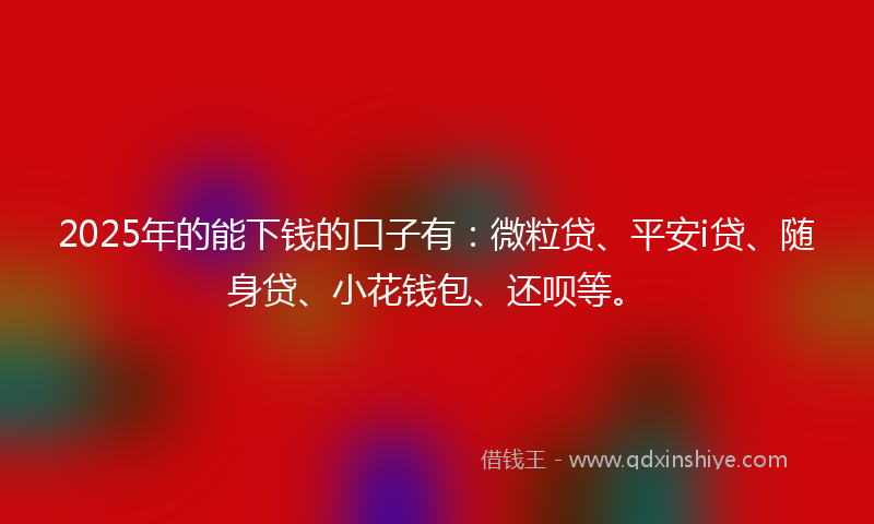 2025年的能下钱的口子有：微粒贷、平安i贷、随身贷、小花钱包、还呗等。