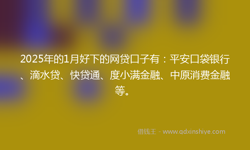 2025年的1月好下的网贷口子有：平安口袋银行、滴水贷、快贷通、度小满金融、中原消费金融等。