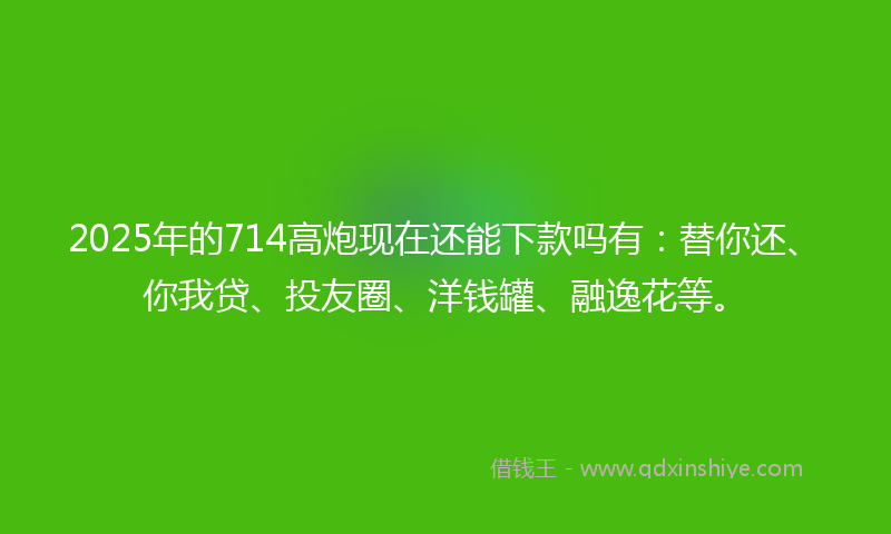 2025年的714高炮现在还能下款吗有：替你还、你我贷、投友圈、洋钱罐、融逸花等。