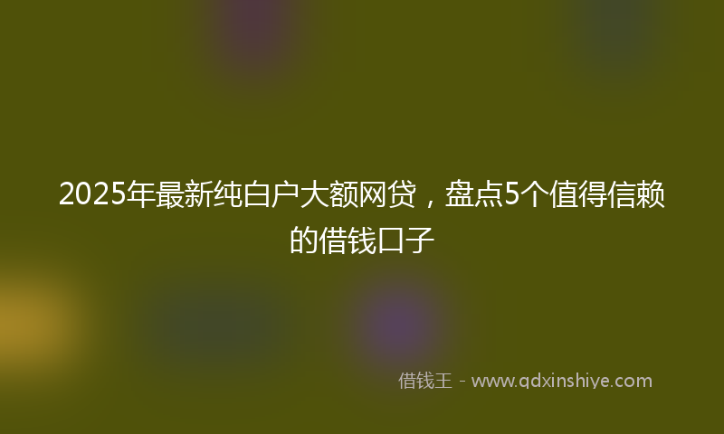 2025年最新纯白户大额网贷，盘点5个值得信赖的借钱口子