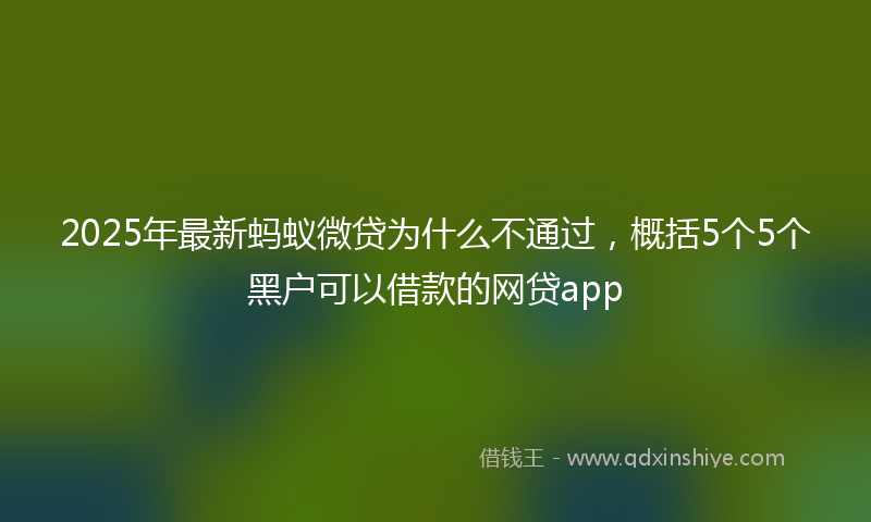 2025年最新蚂蚁微贷为什么不通过，概括5个5个黑户可以借款的网贷app