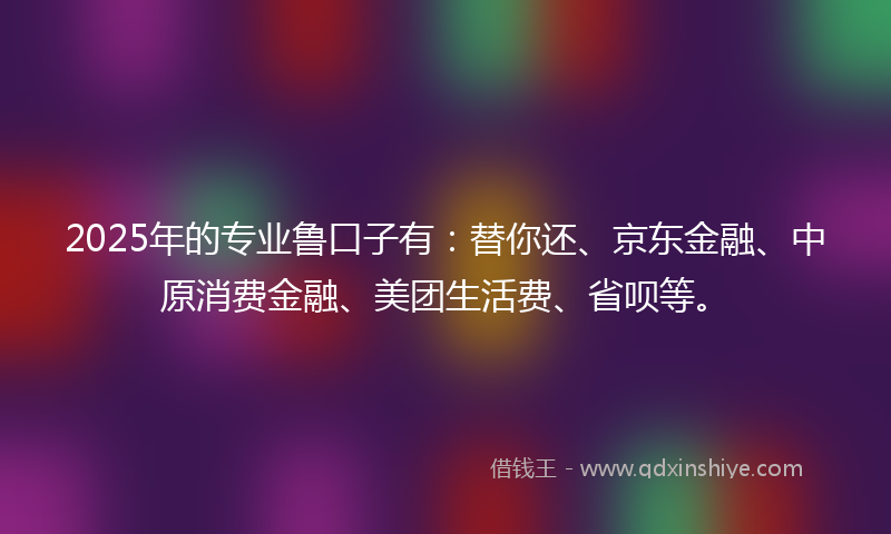 2025年的专业鲁口子有：替你还、京东金融、中原消费金融、美团生活费、省呗等。