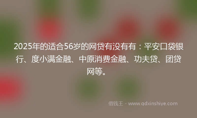 2025年的适合56岁的网贷有没有有：平安口袋银行、度小满金融、中原消费金融、功夫贷、团贷网等。