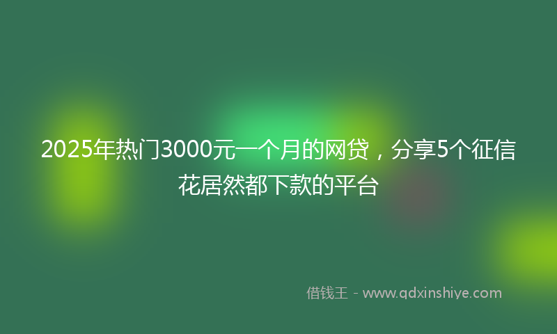 2025年热门3000元一个月的网贷，分享5个征信花居然都下款的平台