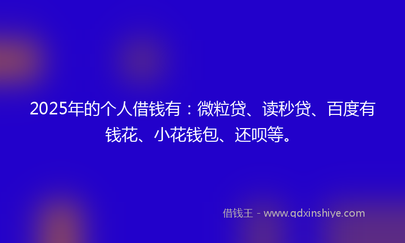 2025年的个人借钱有：微粒贷、读秒贷、百度有钱花、小花钱包、还呗等。