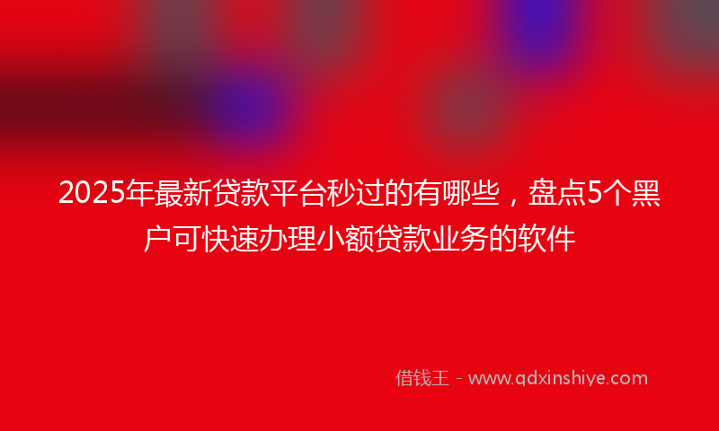 2025年最新贷款平台秒过的有哪些，盘点5个黑户可快速办理小额贷款业务的软件