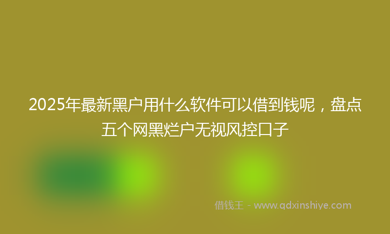2025年最新黑户用什么软件可以借到钱呢，盘点五个网黑烂户无视风控口子