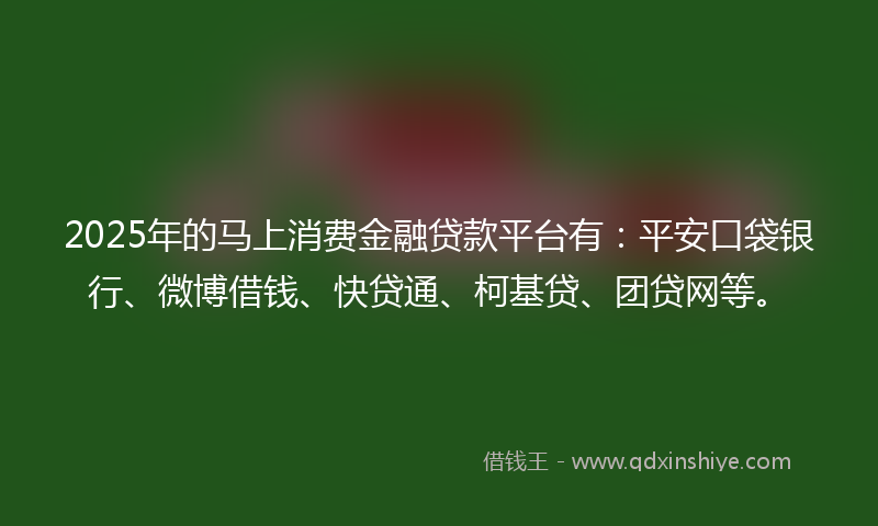 2025年的马上消费金融贷款平台有：平安口袋银行、微博借钱、快贷通、柯基贷、团贷网等。