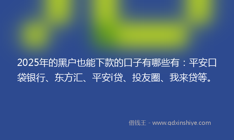 2025年的黑户也能下款的口子有哪些有：平安口袋银行、东方汇、平安i贷、投友圈、我来贷等。