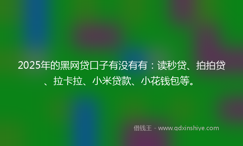 2025年的黑网贷口子有没有有：读秒贷、拍拍贷、拉卡拉、小米贷款、小花钱包等。