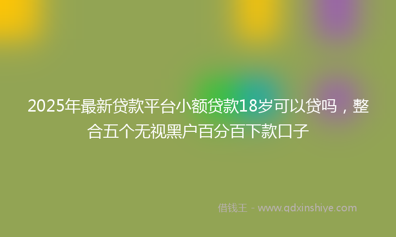 2025年最新贷款平台小额贷款18岁可以贷吗，整合五个无视黑户百分百下款口子