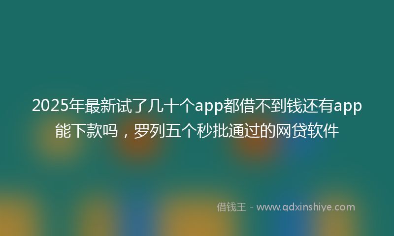 2025年最新试了几十个app都借不到钱还有app能下款吗，罗列五个秒批通过的网贷软件