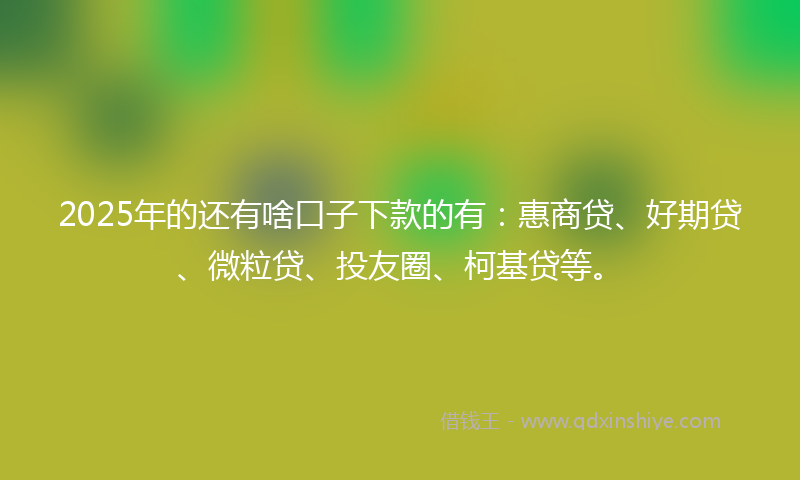 2025年的还有啥口子下款的有：惠商贷、好期贷、微粒贷、投友圈、柯基贷等。