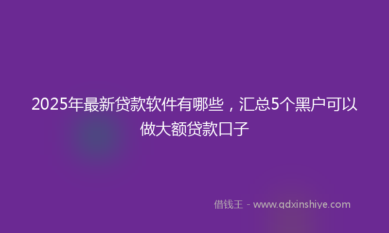 2025年最新贷款软件有哪些，汇总5个黑户可以做大额贷款口子
