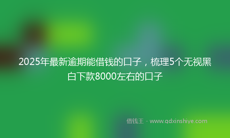 2025年最新逾期能借钱的口子，梳理5个无视黑白下款8000左右的口子