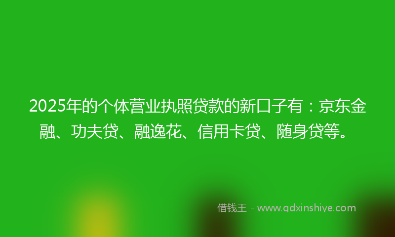2025年的个体营业执照贷款的新口子有：京东金融、功夫贷、融逸花、信用卡贷、随身贷等。