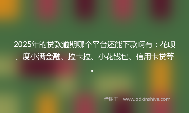 2025年的贷款逾期哪个平台还能下款啊有：花呗、度小满金融、拉卡拉、小花钱包、信用卡贷等。