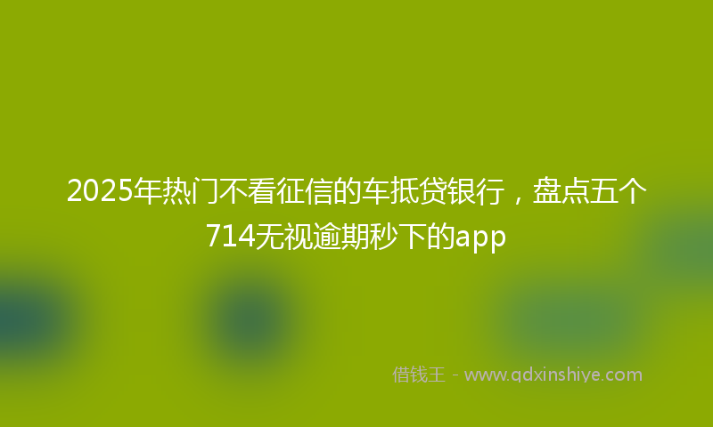2025年热门不看征信的车抵贷银行，盘点五个714无视逾期秒下的app